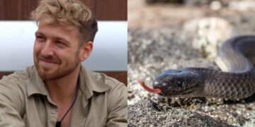 I'm A Celebrity ... Get Me Out Of Here! rangers have been forced to enter the camp after a venomous snake